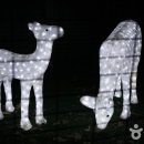 별빛소나타 이미지