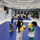 스웻바디라이프mma주짓수킥복싱 | 운정키즈주짓수[스웻바디라이프mma주짓수킥복싱] 운동도 즐겁게 하네요~^^