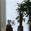 전쟁기념관 | 용산전쟁기념관 진심식당 후기 | 완전 기대 이상 ! 용산 맛집 추천