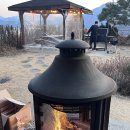 디나우스 이미지