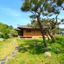 31914 강상면 송학리 남향 황토 한옥토주택 토지 596㎡ (180.29평), 건물 119.23㎡ (36.07평) 매매3.6억원 이미지