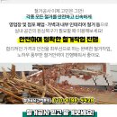 대동장여관 이미지