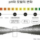 엣지헤어 이미지