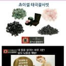 쵸이스셀테라피 | 괄사빗 쵸이스셀두피테라피