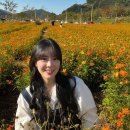 황산여관 이미지