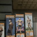 골든몽키짐(GYM) 이미지