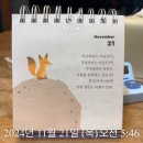 [Day 90] 힘은 키우고 짐은 덜어내는 중, 오징어 철봉 놀이