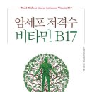 B17-1 이미지
