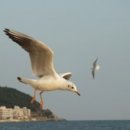 사랑방부동산공인중개사사무소 이미지