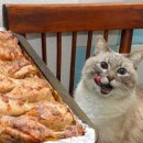 40년전통춘천닭갈비 이미지