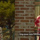 어질농장 이미지