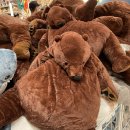 이화바이오약국 이미지