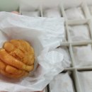 파파호두 이미지