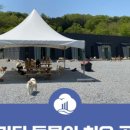 청담리덴동물치과병원 이미지