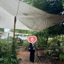 (주)라비채 | 6月(4) : 달려가 상상 속의 별들의 바다