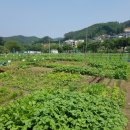 하날농장 이미지