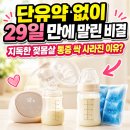 모유 나오는 시기 초유기간 특징 / 자연 단유 29일의 기록 및 방법 / 유축 횟수 조절과 젖몸살 증상...