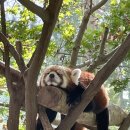 패밀리코스 이미지