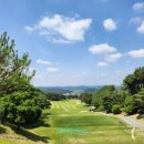 “이게 진짜 봄 필드다…”스카이밸리CC 5월 신록 라운드 후기⛳ (여주 명품 코스 리얼 후기)