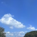 황학골식육식당 이미지