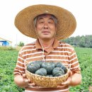 과일꾼 이미지