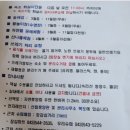 보은 여행 숙소 충북 알프스 자연 휴양림