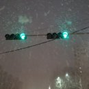 오주목장 이미지