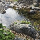 가평 숲속의 계곡 펜션 이미지