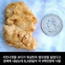 황당한치킨 이미지
