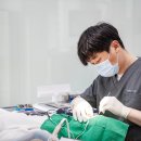 대구디지털치과기공소 이미지