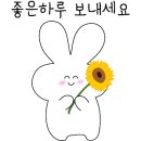 웨이브비어 이미지