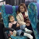 세븐일레븐 도안대왕점 | 후쿠오카) 28개월 아기랑 두번 째 후쿠오카 - 2일차 ; 유유버스투어 (B코스) 얼리 유후인 + 텐진...