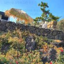 사주로 배우는 삶의 지혜 이미지