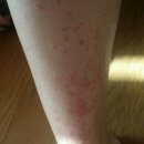 MS마트(후평점) 이미지