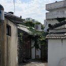 무화과한입 | 제주시 탑동 최애 카페가 된 고양이있는 “무화과맛집” 내돈내산 후기