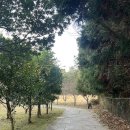 소길공간 민박 | 제주도 가볼만한 곳 이효리 민박 장소 [소길별하] 방문후기