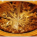 호텔나무 이미지