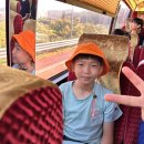 용인대 국가대표 김병태 태권도장 이미지