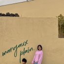 플레인(PLAIN) 이미지