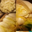 젓국지 네이버블로그