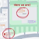 안국안경 | 블루엘리펀트 안국에서 프레임 구매 후, 안경 렌즈 맞춘 후기!