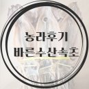 [농라후기] 바른수산속초 오징어