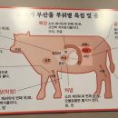 대성부산물