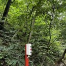 용지동힐링펜션 이미지