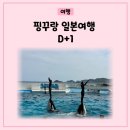 돌고래카크린 | 좋은 일본 여행 추천 가모가와 씨월드 도쿄 숙소 그랜드 닛코 도쿄 다이바 후기 with 장염 아이 준비물