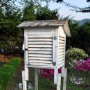 금대초등학교 이미지