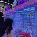 핑키펑키 서면3호점 이미지