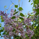 적중지역아동센터 이미지