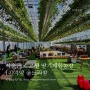 [경기도 광주] 서울 근교 딸기농장 &#39;곤지암 울트라팜&#39;, 상상 이상의 고퀄리티 딸기 따기 체험 (실내...