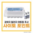 구미 산동 아이엔 동물병원 이미지